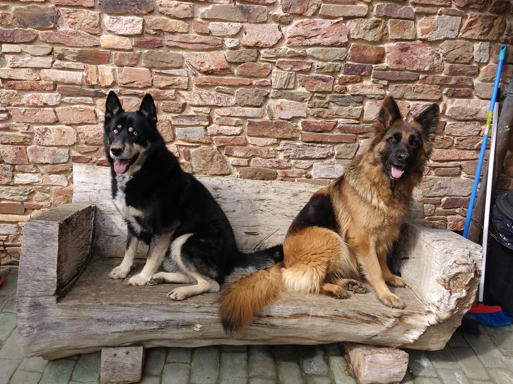 Lezamakoetxe Konuk evi Sopuerta Dış mekan fotoğraf