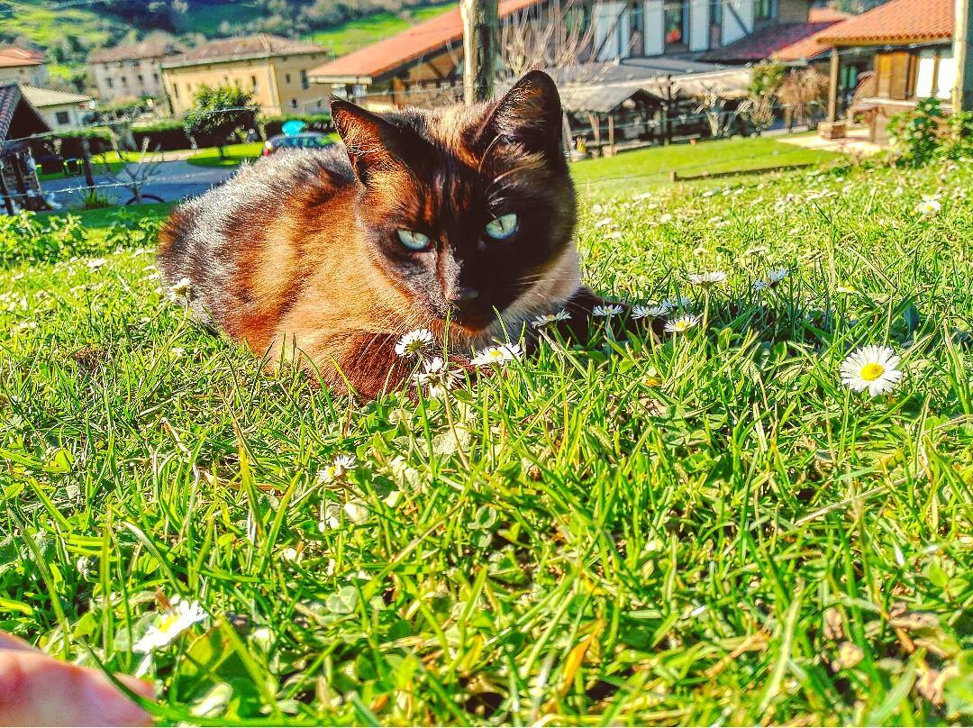 Lezamakoetxe Konuk evi Sopuerta Dış mekan fotoğraf