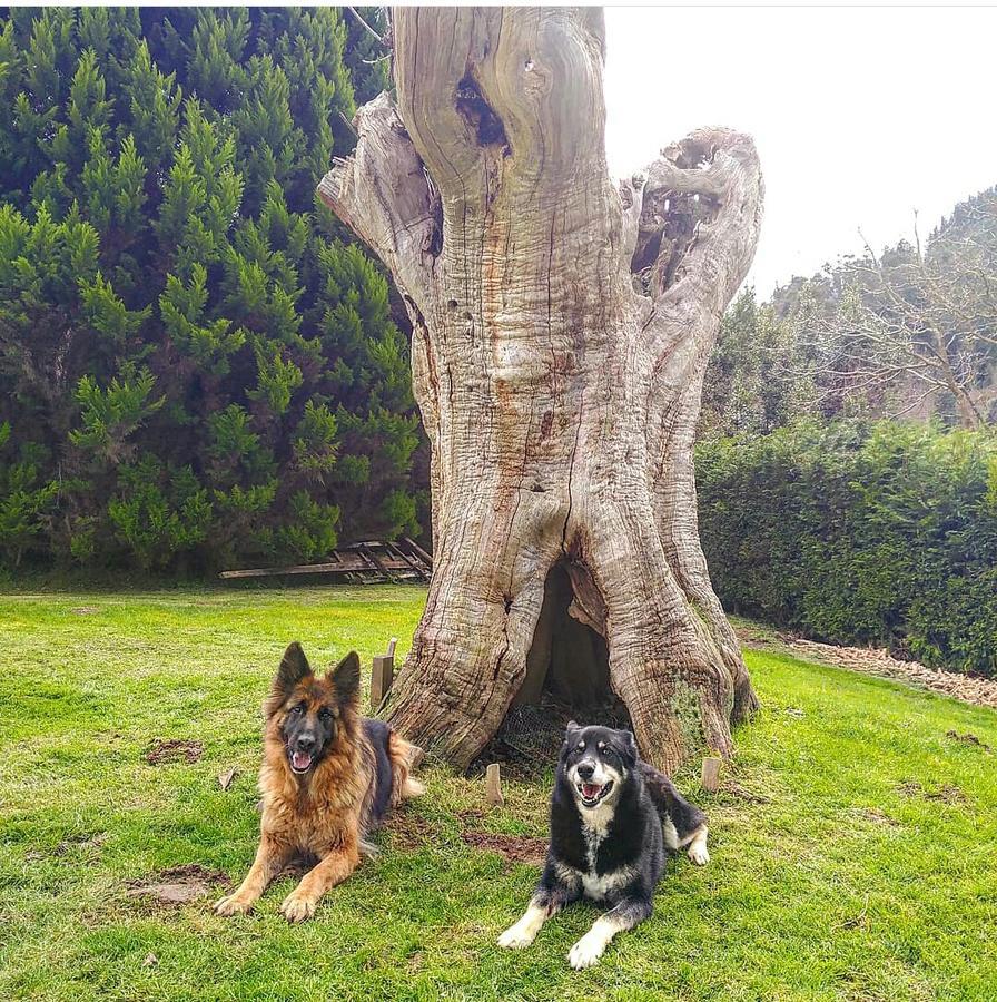 Lezamakoetxe Konuk evi Sopuerta Dış mekan fotoğraf
